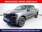 Photo of 2025 Carbonized Gray Metallic Ford F-150