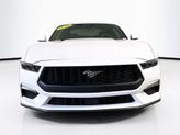 Thumbnail of 2025 Oxford White Ford Mustang