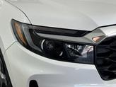 Thumbnail of 2023 Platinum White Pearl Honda Passport