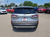 Thumbnail of 2022  Ford Escape