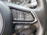 Thumbnail of 2022 Snowflake White Pearl Mazda CX-9