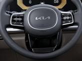 Thumbnail of 2026 Panthera Metal Kia Carnival
