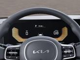 Thumbnail of 2026 Panthera Metal Kia Carnival