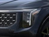 Thumbnail of 2026 Panthera Metal Kia Carnival