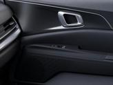 Thumbnail of 2026 Panthera Metal Kia Carnival