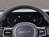 Thumbnail of 2026 Panthera Metal Kia Carnival