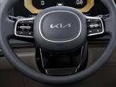 Thumbnail of 2026 Panthera Metal Kia Carnival