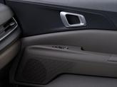 Thumbnail of 2026 Panthera Metal Kia Carnival