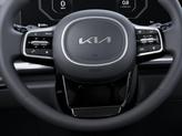 Thumbnail of 2026 Panthera Metal Kia Carnival