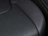 Thumbnail of 2026 Panthera Metal Kia Carnival