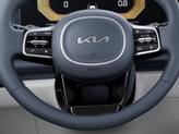 Thumbnail of 2026 Panthera Metal Kia Carnival