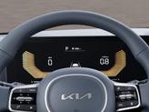 Thumbnail of 2026 Panthera Metal Kia Carnival
