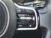 Thumbnail of 2022 Aruba Green Kia Sorento