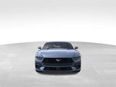 Thumbnail of 2025 Blue Ford Mustang