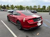 Thumbnail of 2022 Red Metallic Ford Mustang