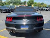 Thumbnail of 2024 SHADOW BLACK Ford Mustang