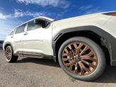 Thumbnail of 2025 Crystal White Pearl Subaru Forester