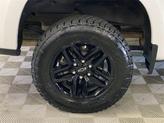 Thumbnail of 2019 Iridescent Pearl Tricoat Chevrolet Silverado 1500