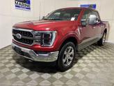Thumbnail of 2023 RAPID RED MET TINTED CC Ford F-150