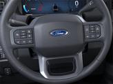Thumbnail of 2025 Avalanche Ford F-250