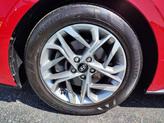Thumbnail of 2022 Calypso Red Hyundai SONATA