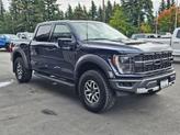Thumbnail of 2023 Antimatter Blue Ford F-150