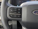 Thumbnail of 2026 Avalanche Ford F-350