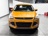 Thumbnail of 2016 Electric Spice Metallic Ford Escape