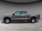 Thumbnail of 2021 Stone Gray Ford F-150