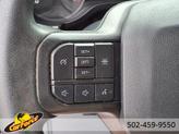 Thumbnail of 2021 Stone Gray Ford F-150