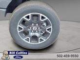 Thumbnail of 2025 Gray Metallic Ford F-150
