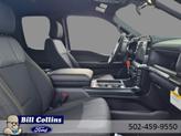 Thumbnail of 2025 Gray Metallic Ford F-150