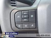 Thumbnail of 2025 Gray Metallic Ford F-150