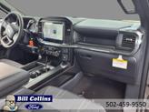 Thumbnail of 2025 Gray Metallic Ford F-150