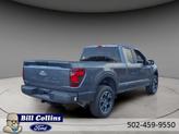 Thumbnail of 2025 Gray Metallic Ford F-150