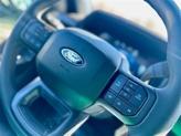 Thumbnail of 2025 Gray Metallic Ford F-150