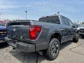 Thumbnail of 2025 Gray Metallic Ford F-150