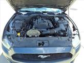 Thumbnail of 2015 Magnetic Metallic Ford Mustang