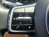 Thumbnail of 2022 Pantera Metal Kia Carnival