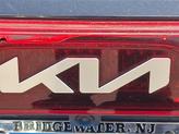 Thumbnail of 2022 Pantera Metal Kia Carnival