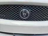 Thumbnail of 2009 Porcelain Jaguar XK