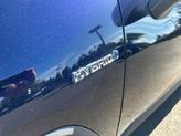 Thumbnail of 2021 Blue Print Toyota RAV4 Hybrid