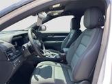 Thumbnail of 2026 White GMC Terrain