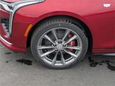Thumbnail of 2025 Radiant Red Cadillac CT4