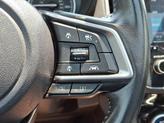 Thumbnail of 2019 Crystal Black Silica Subaru Forester