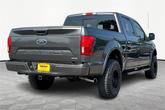 Thumbnail of 2019 Magnetic Ford F-150