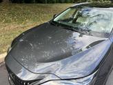 Thumbnail of 2025 Cloudburst Gray Lexus NX 350
