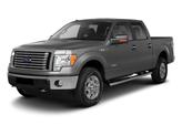 Photo of 2010 Ingot Silver Ford F-150