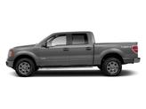 Thumbnail of 2010 Ingot Silver Ford F-150