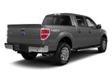 Thumbnail of 2010 Ingot Silver Ford F-150